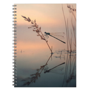 Dragonfly Dawn Reflection Notebook