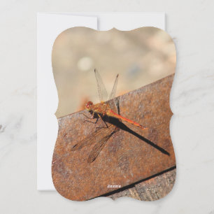 Dragonfly Design With Brown Holiday Card