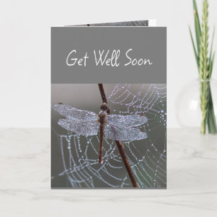  Dragonfly Dragonflies Get Well Soon Card