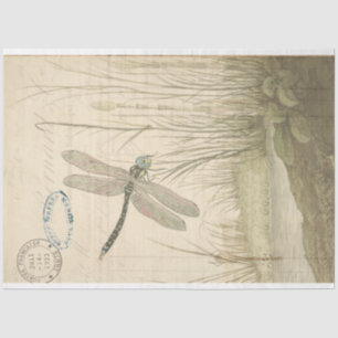 Dragonfly Ephemera Tissue Paper