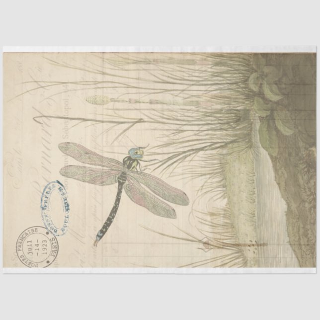 Dragonfly Ephemera Tissue Paper (Front)