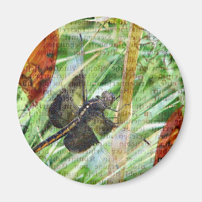 Dragonfly, Fly Away Magnet (Front)