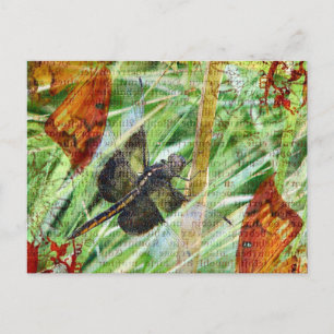 Dragonfly, Fly Away Postcard