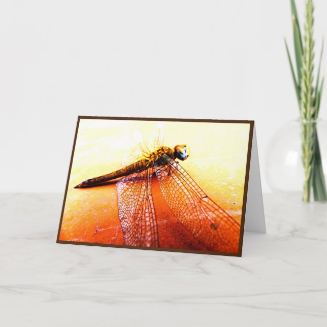 Dragonfly Folded Greeting Card (Front)