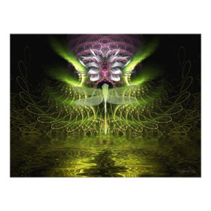 Dragonfly Fractal Magic Photo