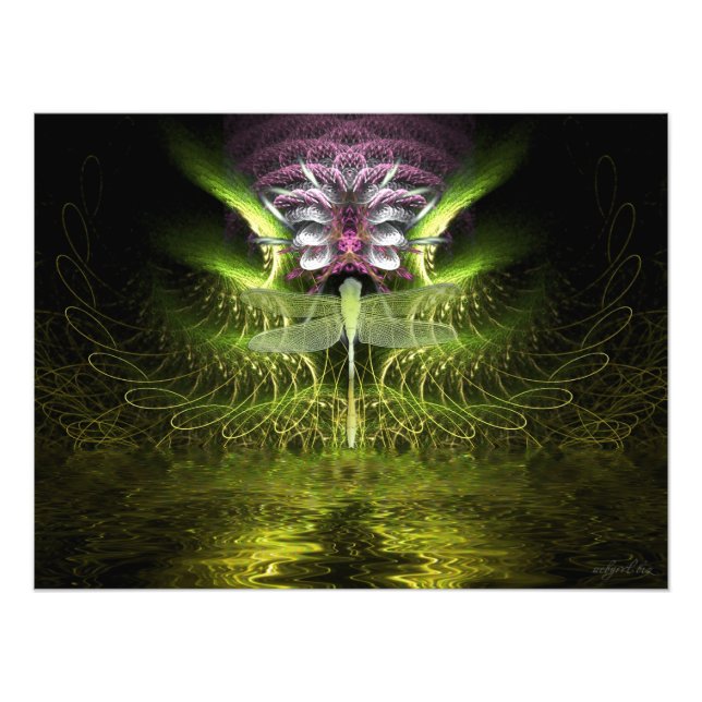 Dragonfly Fractal Magic Photo (Front)
