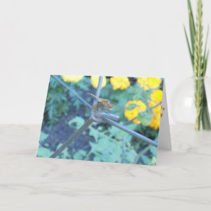 "Dragonfly Garden" Get Well Card #1