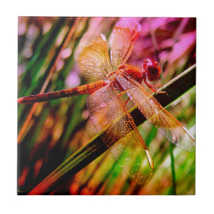 DRAGONFLY GOLDEN HARMONY 2.jpg Ceramic Tile