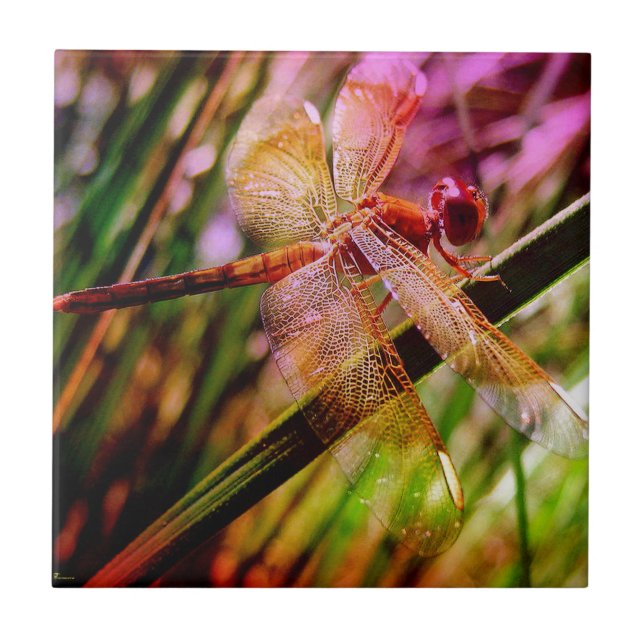 DRAGONFLY GOLDEN HARMONY 2.jpg Ceramic Tile (Front)