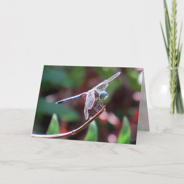 Dragonfly Greeting Card (Front)