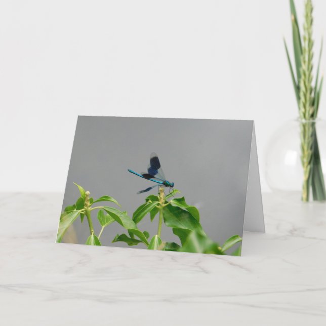 Dragonfly greetings card (Front)