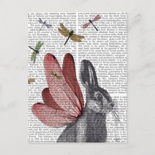 Dragonfly Hare Postcard