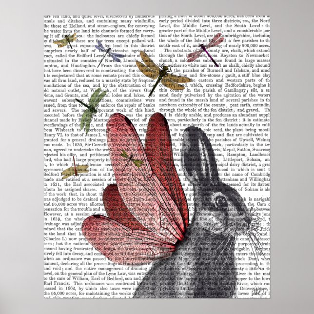 Dragonfly Hare Poster (Front)