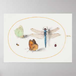 Dragonfly Illustration Poster