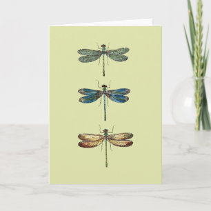 Dragonfly Illustrations Card