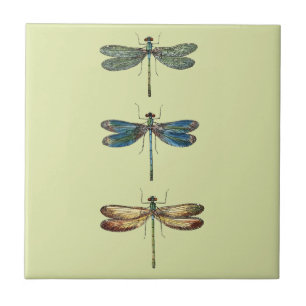 Dragonfly Illustrations Ceramic Tile