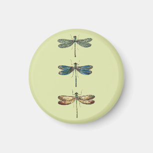 Dragonfly Illustrations Magnet