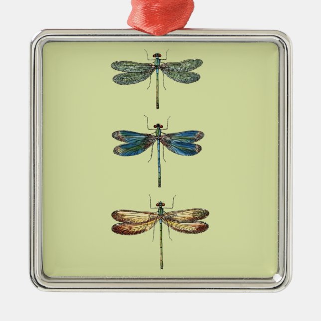 Dragonfly Illustrations Metal Ornament (Front)
