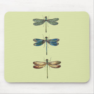 Dragonfly Illustrations Mouse Pad