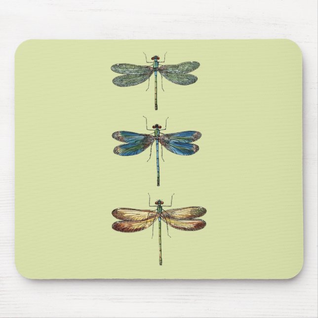 Dragonfly Illustrations Mouse Pad (Front)