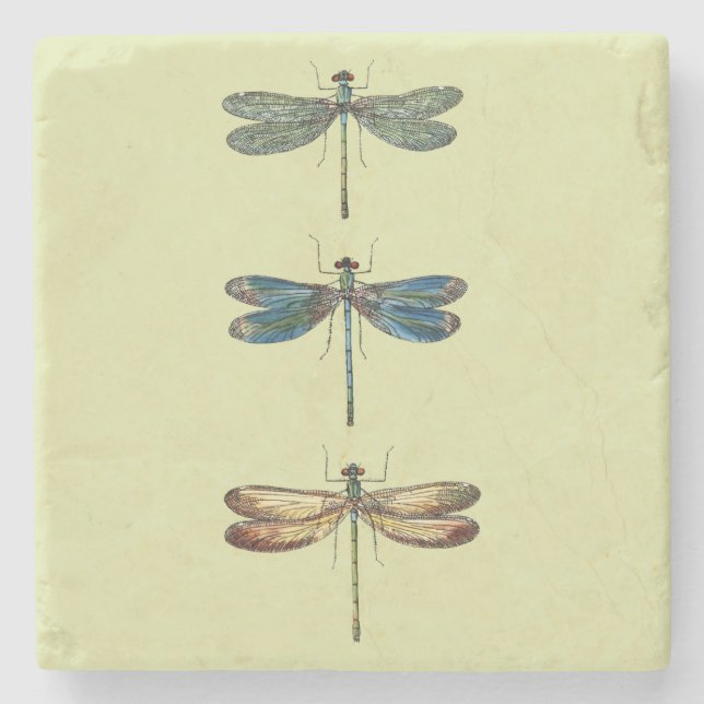 Dragonfly Illustrations Stone Coaster (Front)