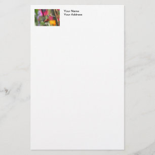 Dragonfly in Colourful Garden Stationery