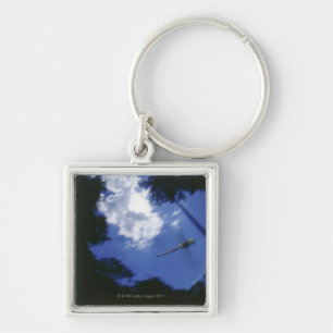 Dragonfly in flight, flapping wings key ring