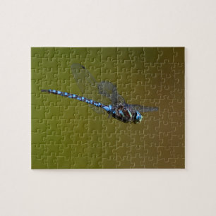 dragonfly in flight jigsaw puzzle