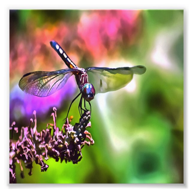 Dragonfly In Green and Blue Realistic Painting Photo Print (Front)