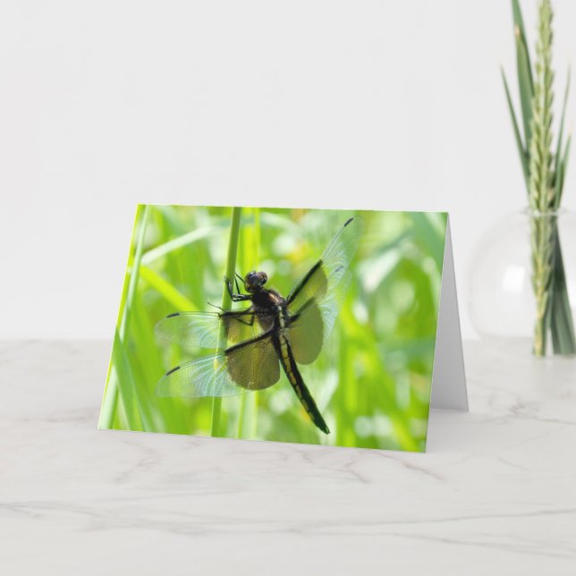 Dragonfly in the Garden Card (Front)