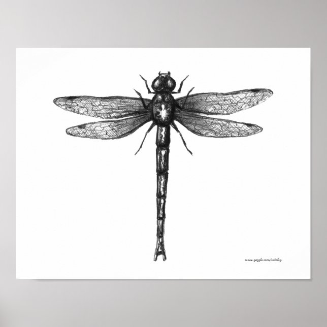 Dragonfly ink pen drawibg art poster (Front)