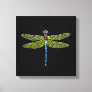Dragonfly insect close up vibrant colors canvas print