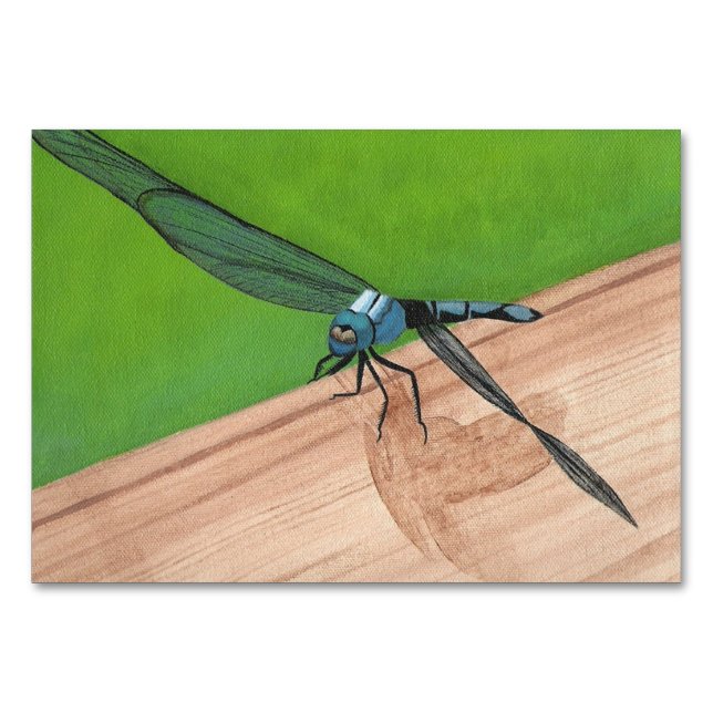 Dragonfly Insect Reading Flashcards Table Number (Front)