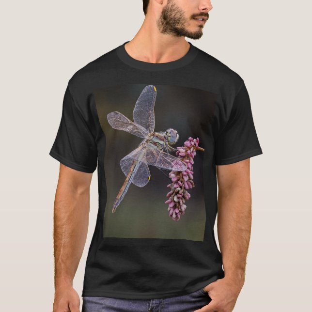 Dragonfly Insect Wings Nature T-Shirt (Front)