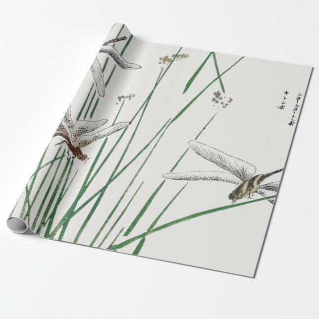DRAGONFLY JAPANESE Wrapping Paper (Unrolled)