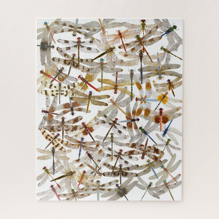 Dragonfly Jigsaw Puzzle Zazzle