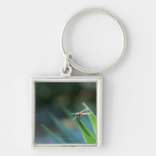 Dragonfly Key Ring