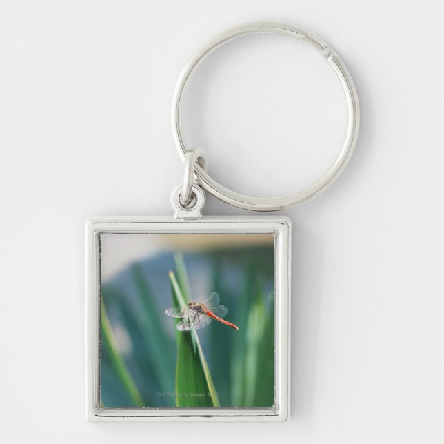 Dragonfly Key Ring (Front)