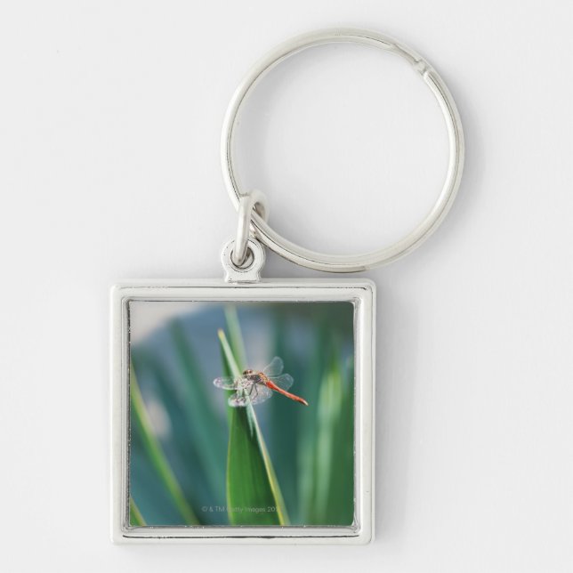 Dragonfly Key Ring (Front)