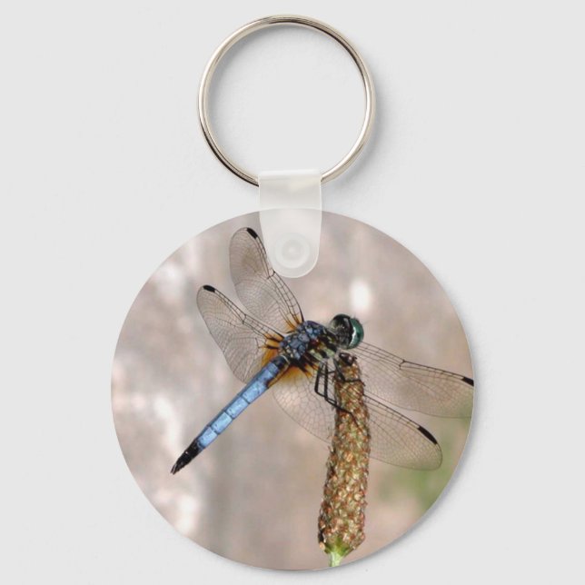 Dragonfly! Key Ring (Front)