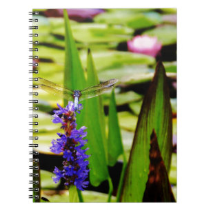 Dragonfly lotus and purple flower notebook