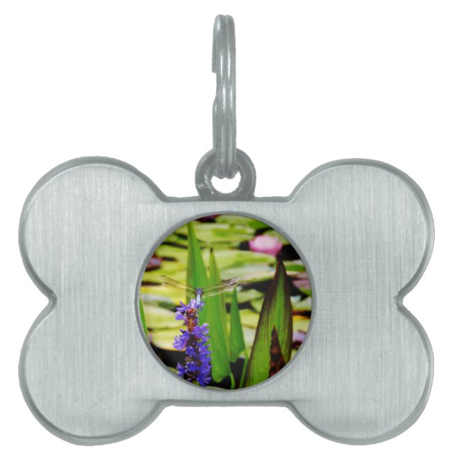 Dragonfly lotus and purple flower pet tag (Front)