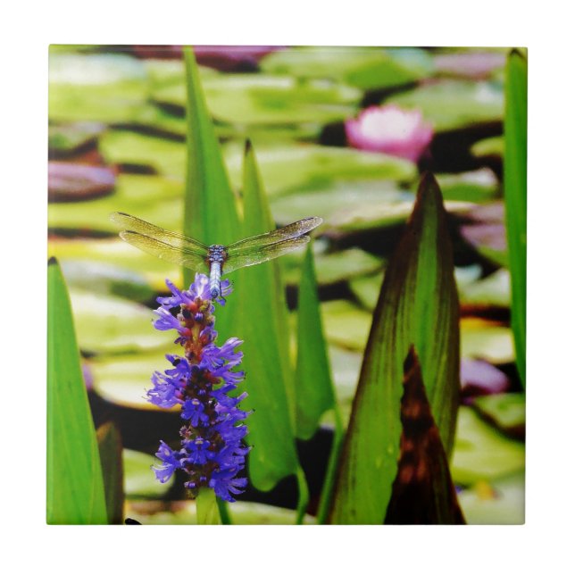 Dragonfly lotus and purple flower tile (Front)