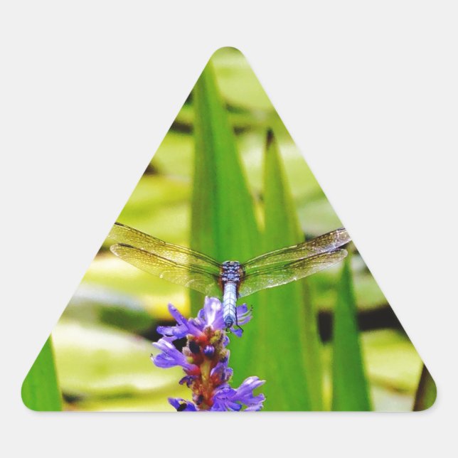 Dragonfly lotus and purple flower triangle sticker (Front)