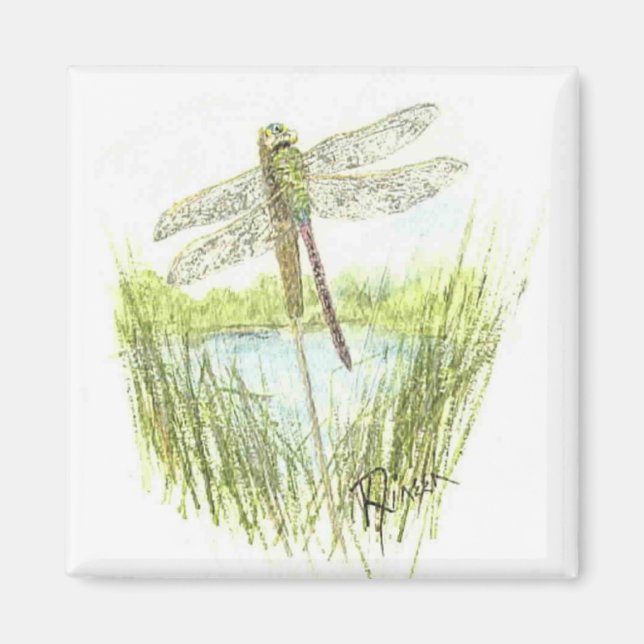 Dragonfly magnet (Front)