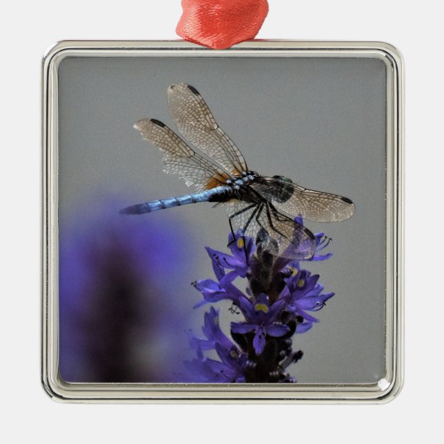 Dragonfly Metal Ornament (Front)