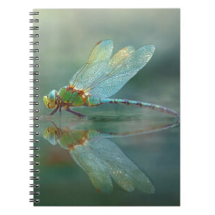 Dragonfly Mirror Reflection Notebook