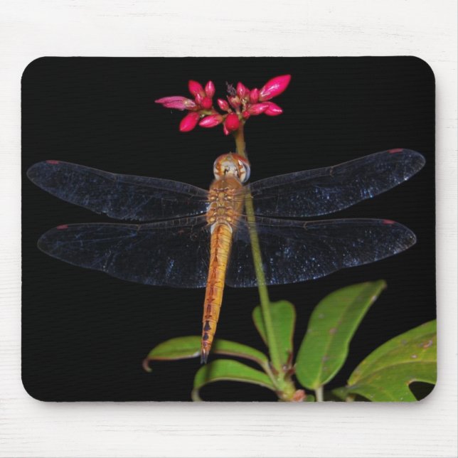 DragonFly Mouse Pad (Front)