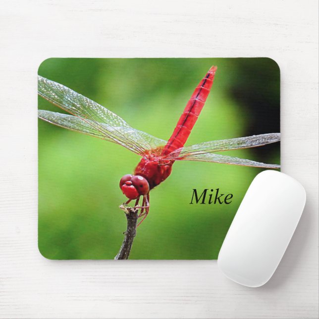 Dragonfly Mouse Pad Green and Red (With Mouse)