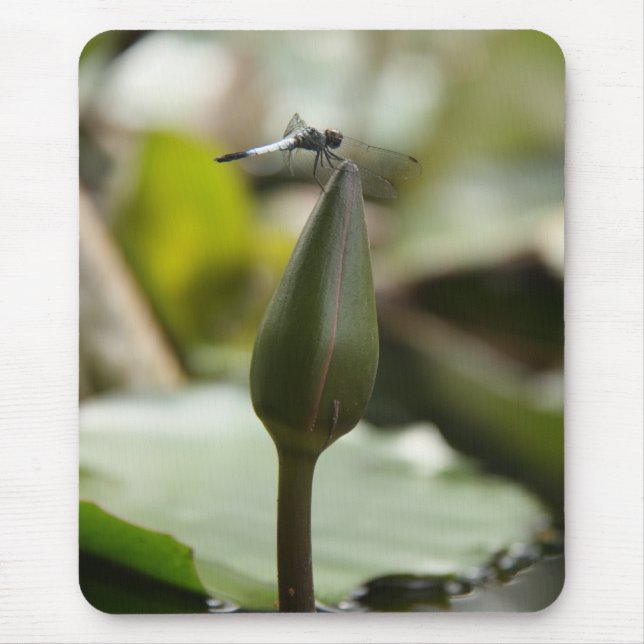 Dragonfly Mousepad (Front)